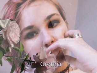 Grothia