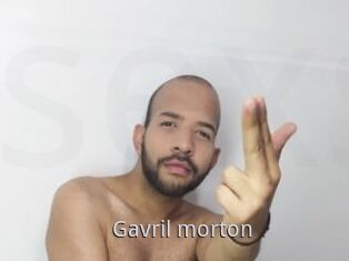 Gavril_morton