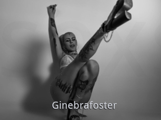 Ginebrafoster