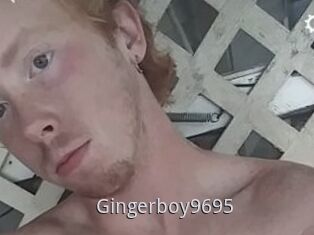 Gingerboy9695