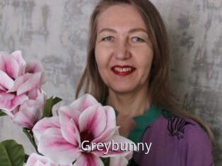 Greybunny