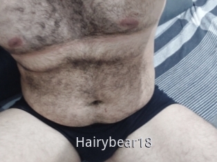 Hairybear18