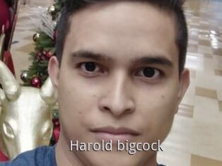 Harold_bigcock