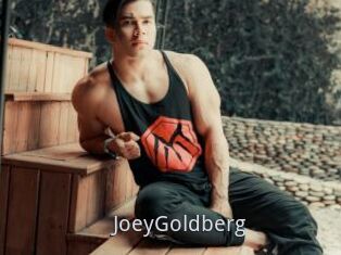 JoeyGoldberg