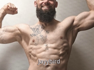 Jayybird