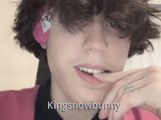 Kingsnowbunny