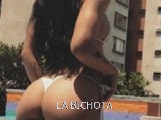 LA_BICHOTA