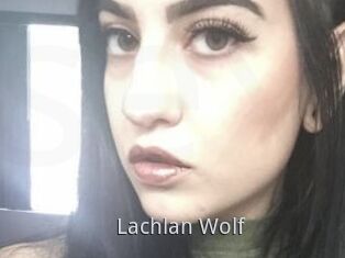 Lachlan_Wolf