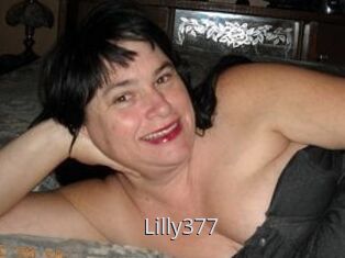 Lilly377