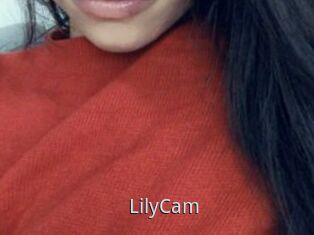 LilyCam