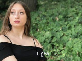 Ligea