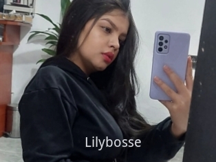 Lilybosse