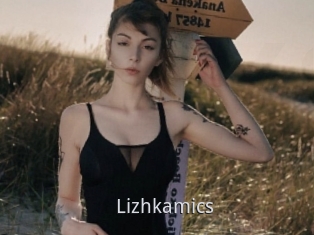 Lizhkamics