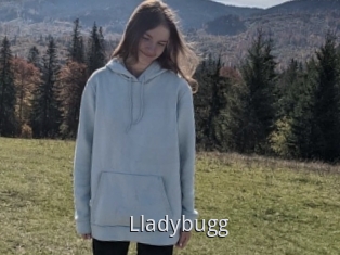 Lladybugg