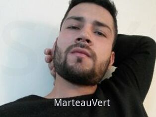 MarteauVert