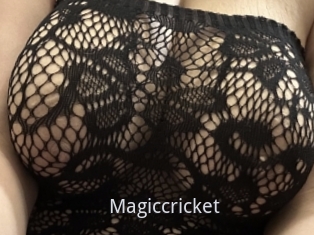 Magiccricket