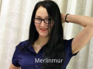 Merlinmur