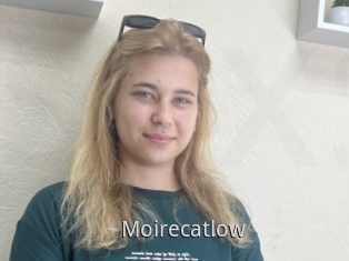 Moirecatlow