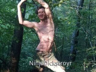 NinjaDickstroyr