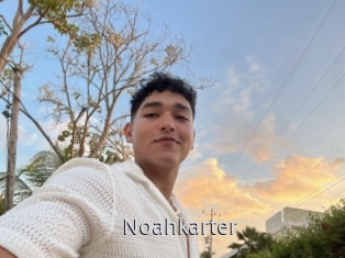 Noahkarter