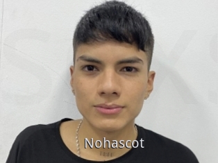 Nohascot