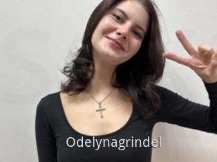 Odelynagrindel