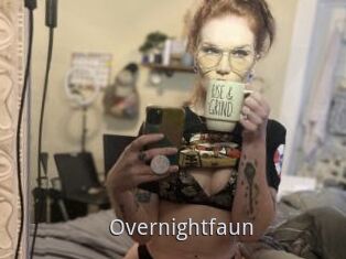 Overnightfaun