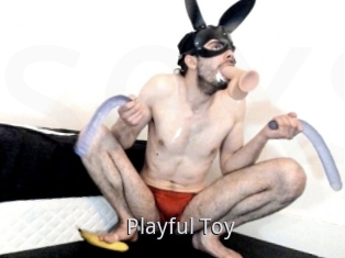 Playful_Toy