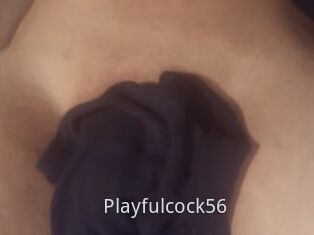 Playfulcock56