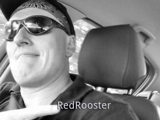 RedRooster