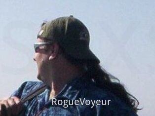 RogueVoyeur