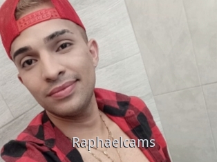 Raphaelcams