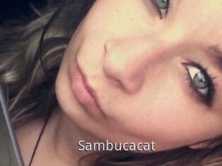 Sambucacat