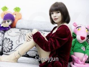 SandyJun