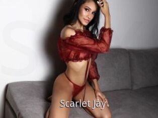 Scarlet_Jay