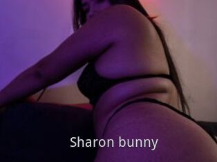 Sharon_bunny