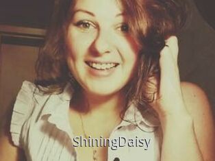 ShiningDaisy