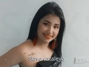 Slave_cataleya