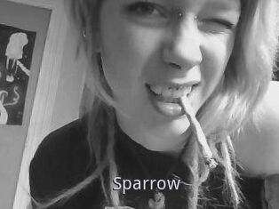 Sparrow