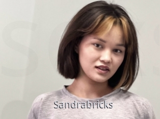 Sandrabricks