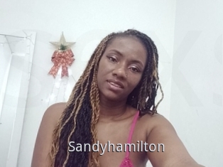 Sandyhamilton