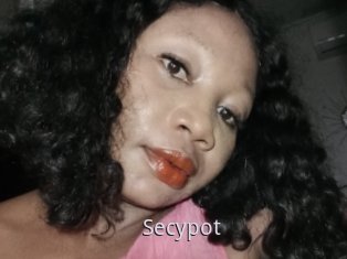 Secypot