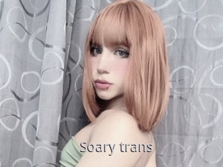 Soary_trans