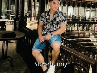 Stevebunny