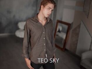 TEO_SKY