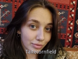 Taitecornfield