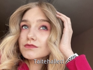 Taitehallett