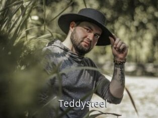 Teddysteel