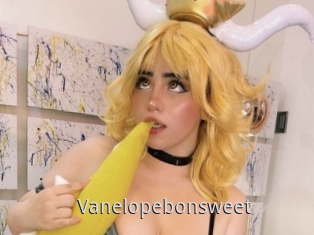 Vanelopebonsweet