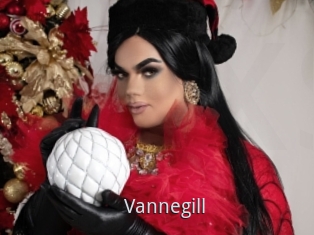 Vannegill